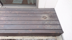 DSC_0481 (2500x1406).jpg